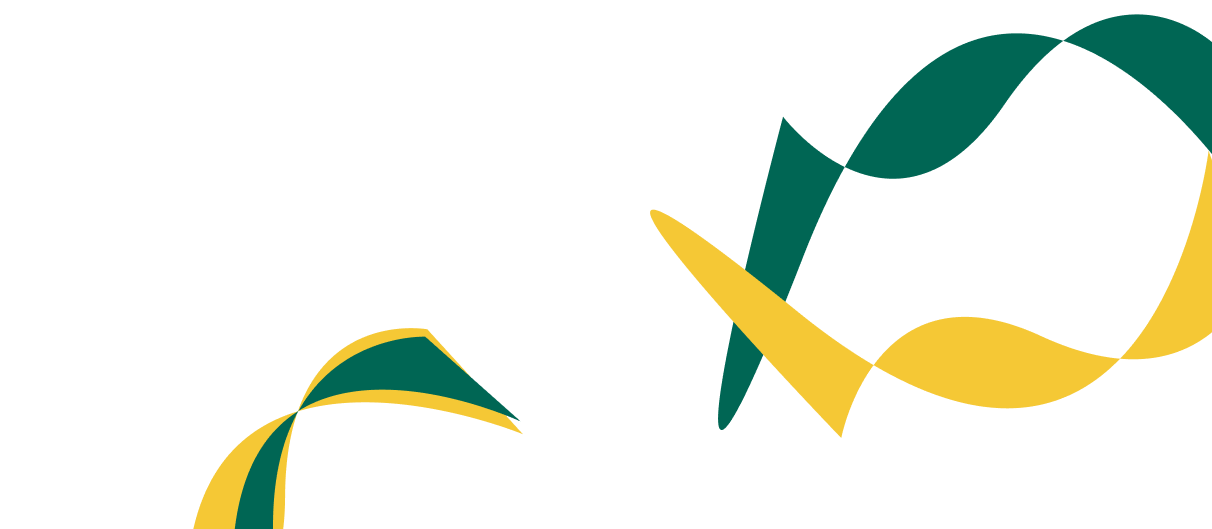 Expert Solutions for Corporate  Financial Success. - 多多28ruinuo