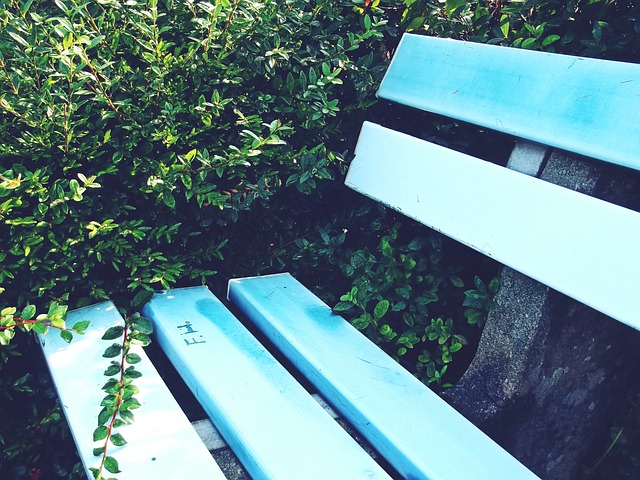 冬至这个节 冬至这个节