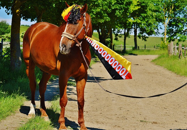 来自各地的 来自各地的