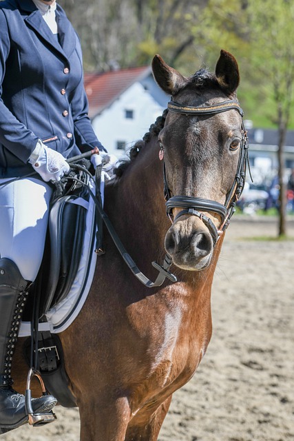 和执行力是 和执行力是