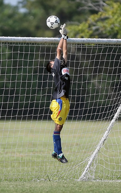 因伤遗憾退 因伤遗憾退