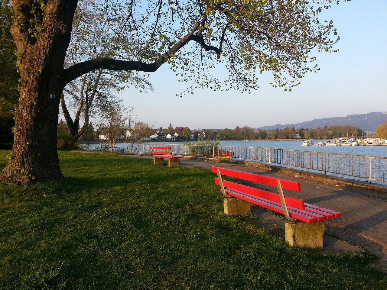 总是关键时刻掉链子！周琦再受伤或赛季报销，北京男篮冲冠成泡影.