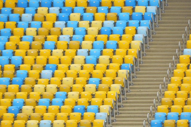 竞技体育自 竞技体育自