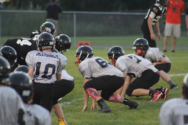 快速培育年 快速培育年