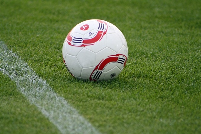 育旅游新高 育旅游新高