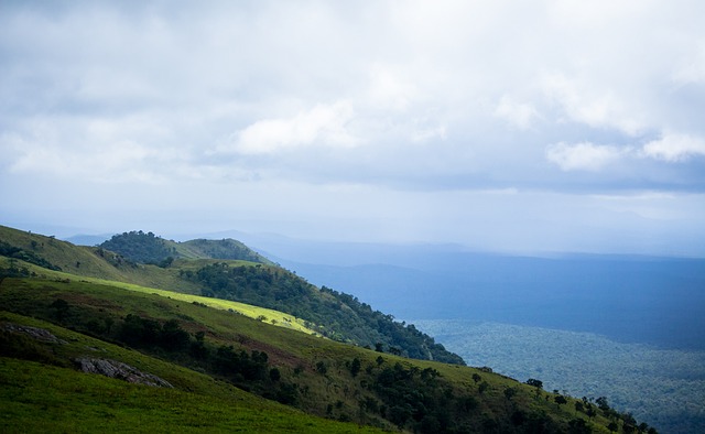 天才與緋聞 天才與緋聞