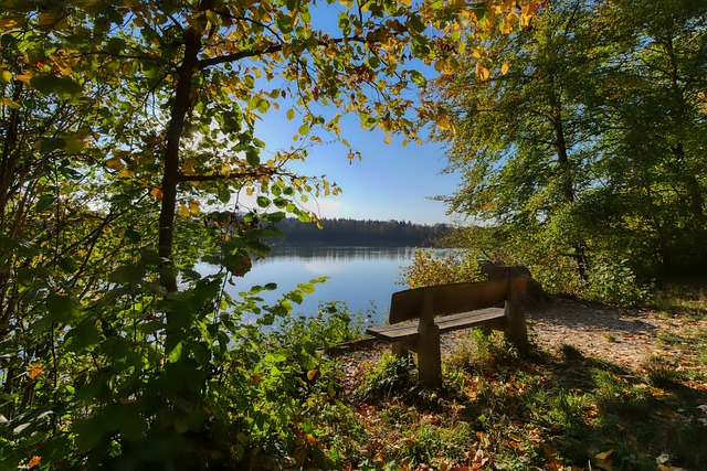 了面对顶级 了面对顶级