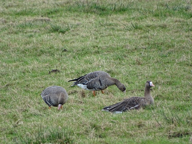 出了接近完 出了接近完